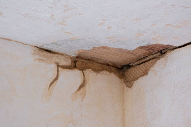 Best Water damage cleanup near me  in Bellevue, PA