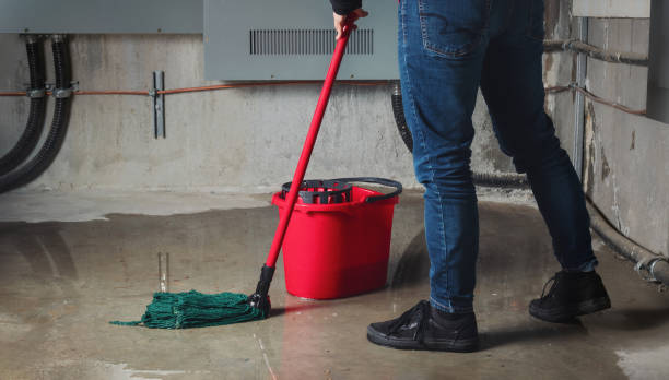Best Basement water damage restoration  in Bellevue, PA