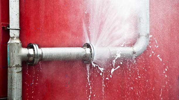 Carpet water damage restoration in Bellevue, PA